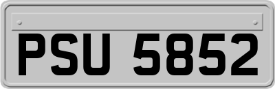 PSU5852