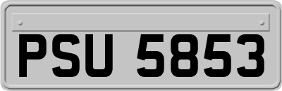 PSU5853
