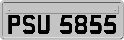 PSU5855