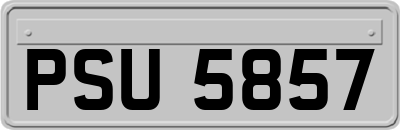 PSU5857