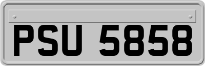 PSU5858
