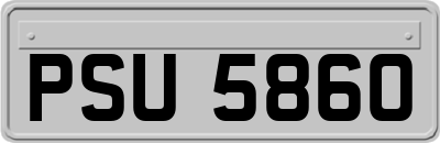 PSU5860