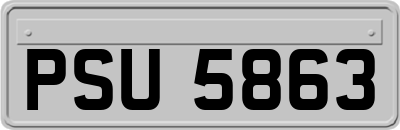 PSU5863