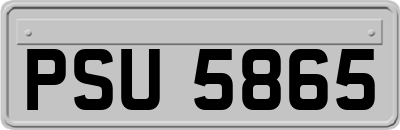 PSU5865