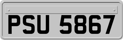 PSU5867