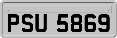 PSU5869