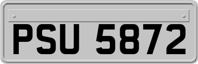 PSU5872