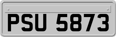 PSU5873