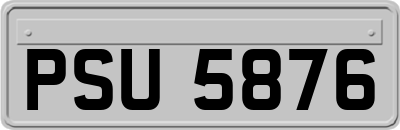 PSU5876