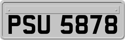 PSU5878
