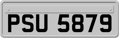 PSU5879