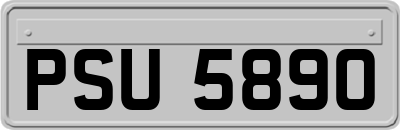 PSU5890