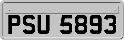 PSU5893