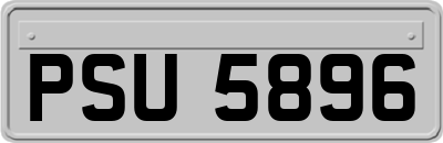 PSU5896