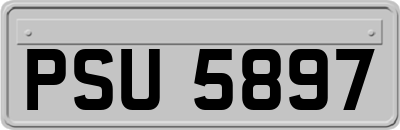 PSU5897