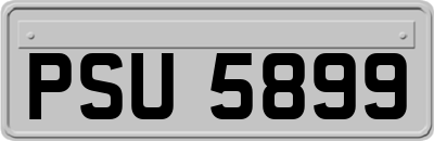PSU5899