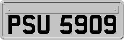 PSU5909