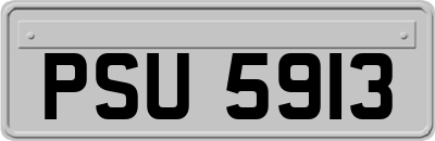 PSU5913