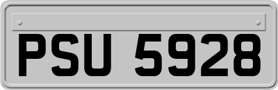 PSU5928