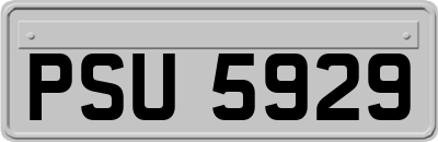 PSU5929