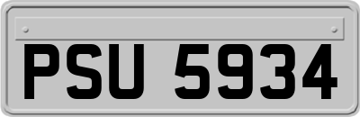 PSU5934