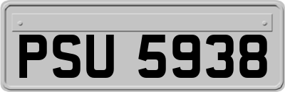 PSU5938