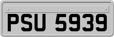 PSU5939