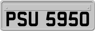 PSU5950