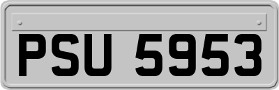 PSU5953