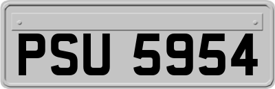 PSU5954