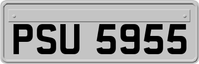 PSU5955