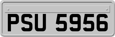 PSU5956
