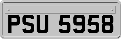 PSU5958