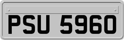 PSU5960