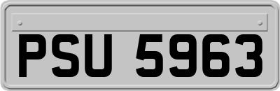 PSU5963