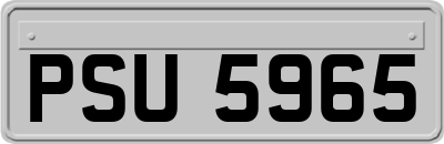 PSU5965