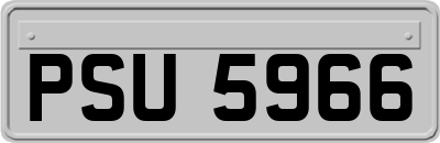 PSU5966