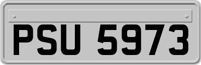 PSU5973