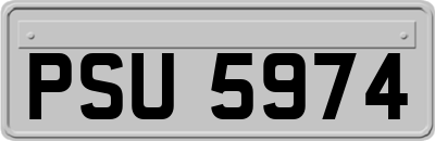 PSU5974