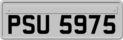 PSU5975