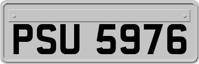 PSU5976