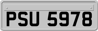 PSU5978