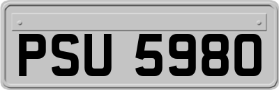 PSU5980