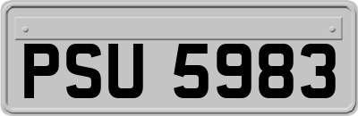 PSU5983