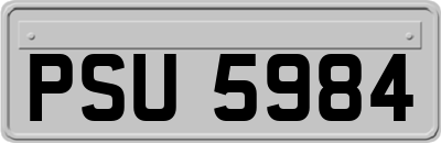 PSU5984
