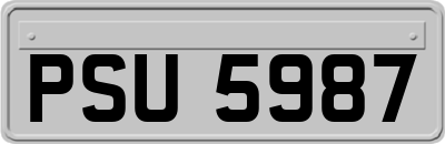 PSU5987