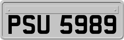 PSU5989