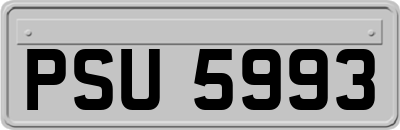 PSU5993