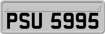 PSU5995