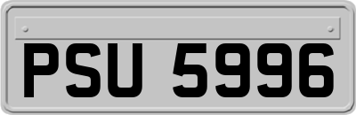 PSU5996